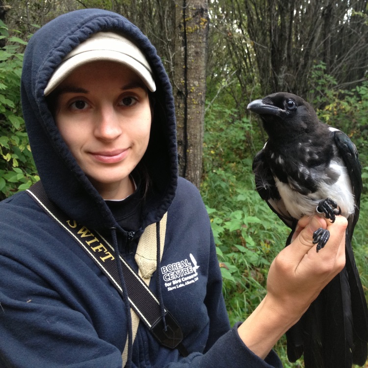 Nicole-magpie