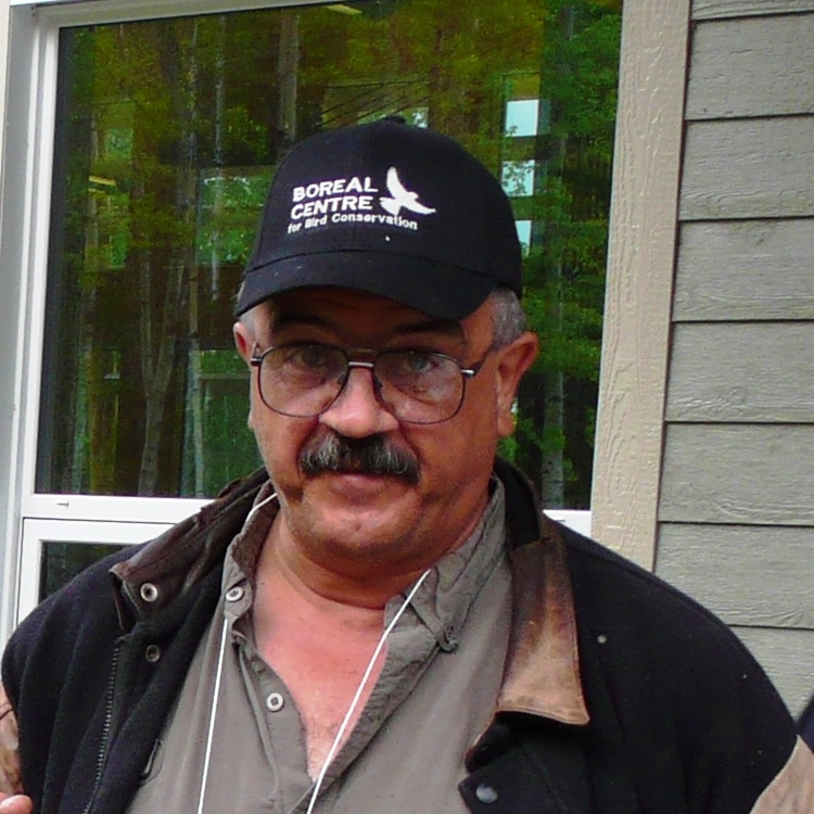 terry kristoff