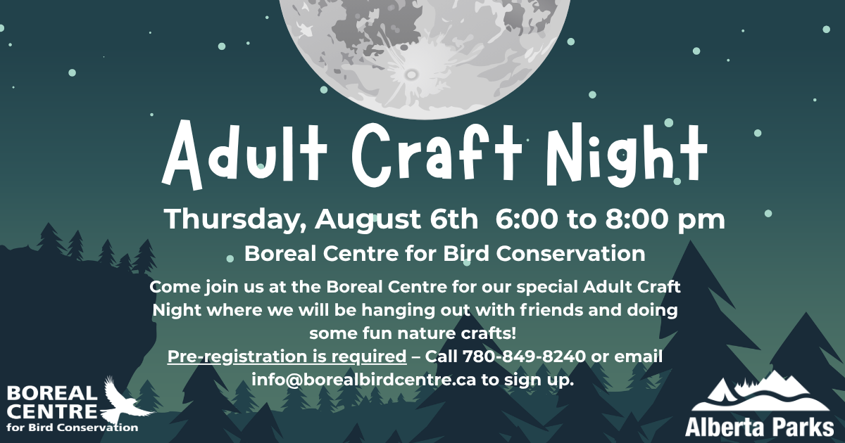 August Adult Craft Night (1)